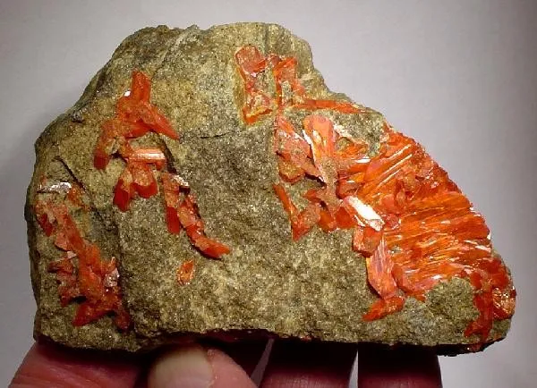 Crocoite image
