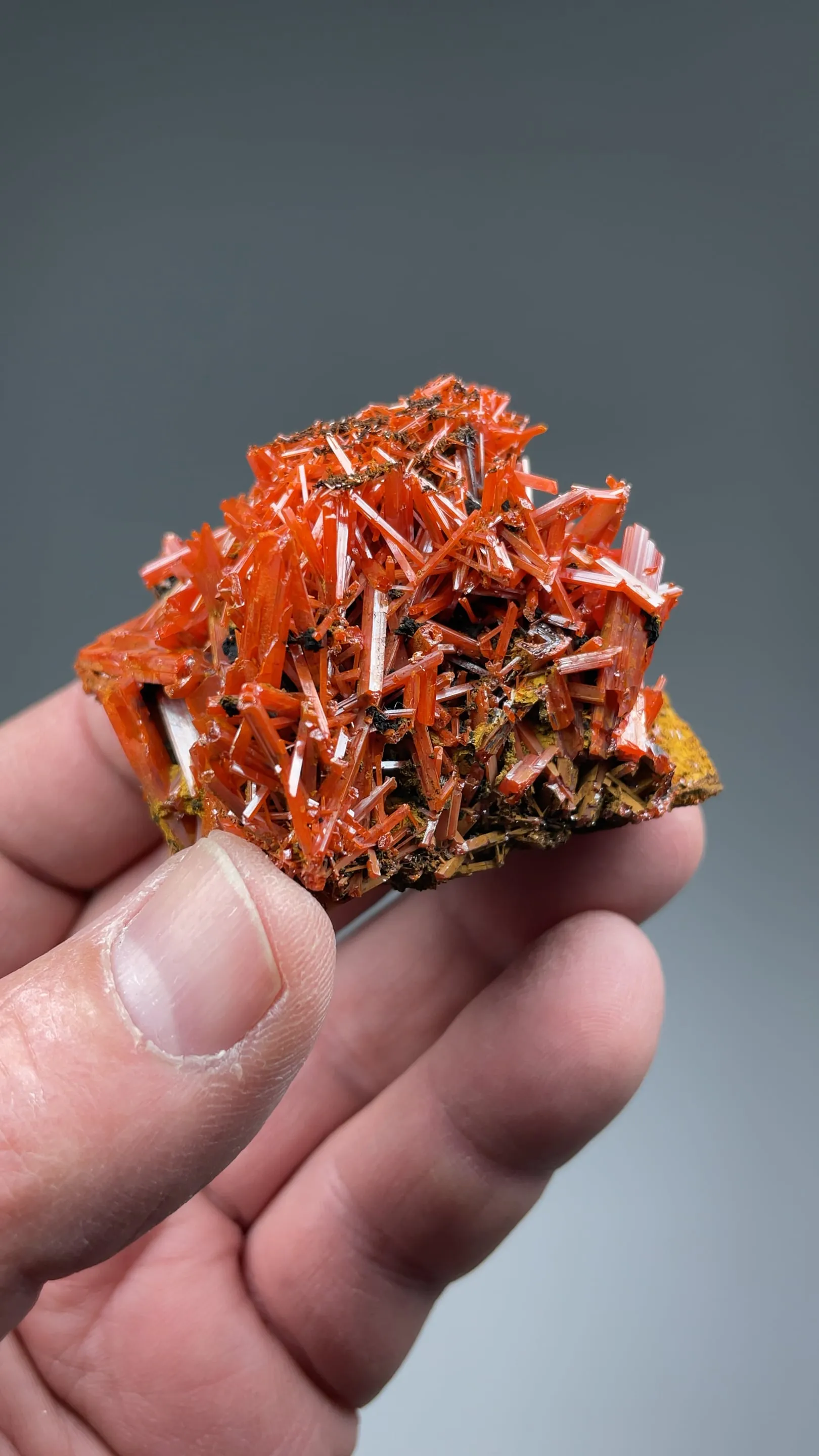 Crocoite - image 2