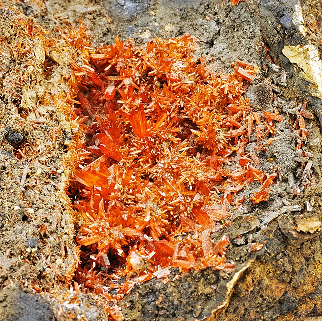 Crocoite image
