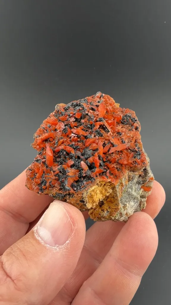Crocoite image