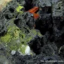 Crocoite and Vauquelinite (Tl) - image 6