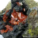 Crocoite and Vauquelinite (Tl) - image 1