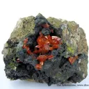 Crocoite and Vauquelinite (Tl) - image 2
