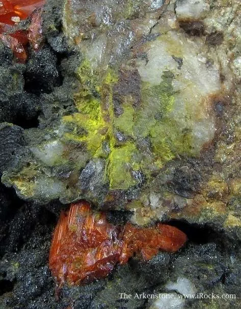 Crocoite and Vauquelinite (Tl) - image 3