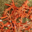 Crocoite - image 2