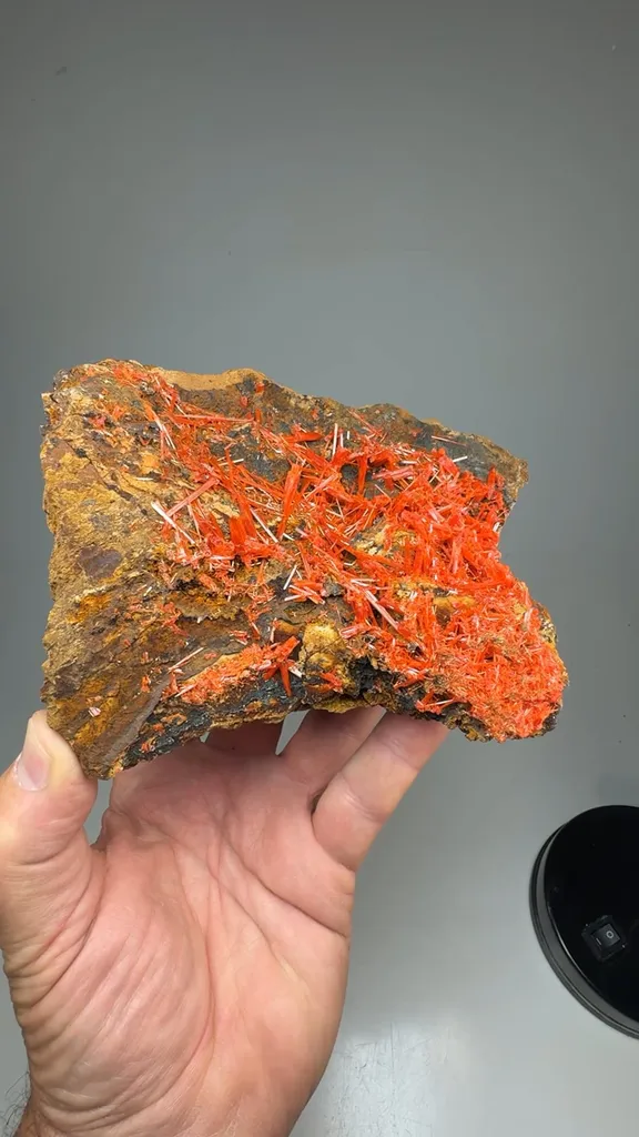 Crocoite - image 2