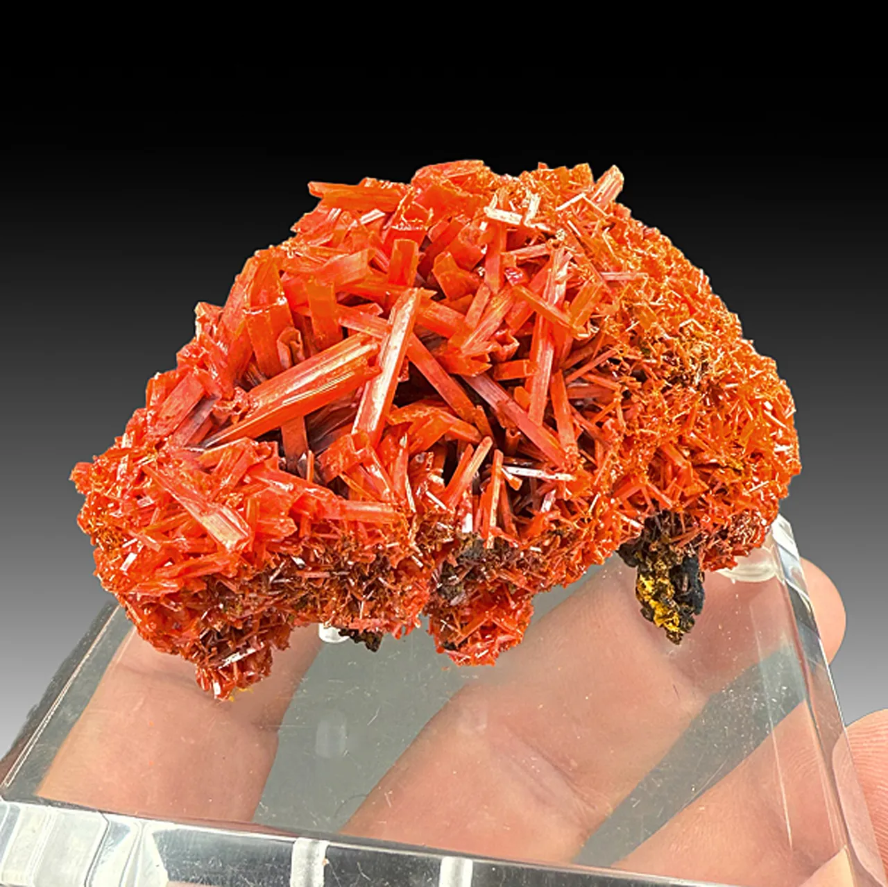 Crocoite - image 1