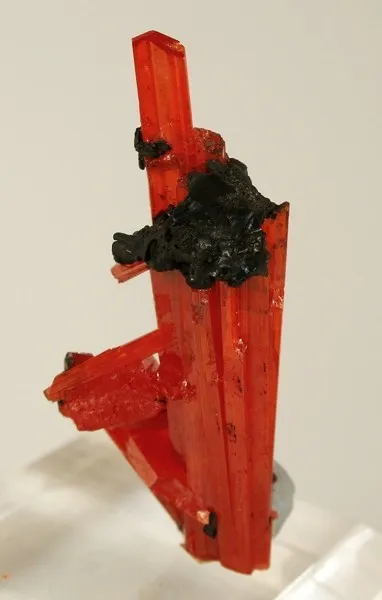 Crocoite image
