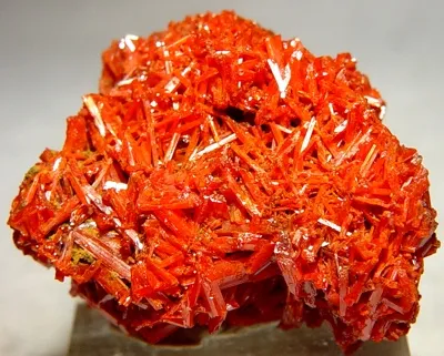 Crocoite image