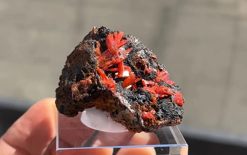 Crocoite - image 2