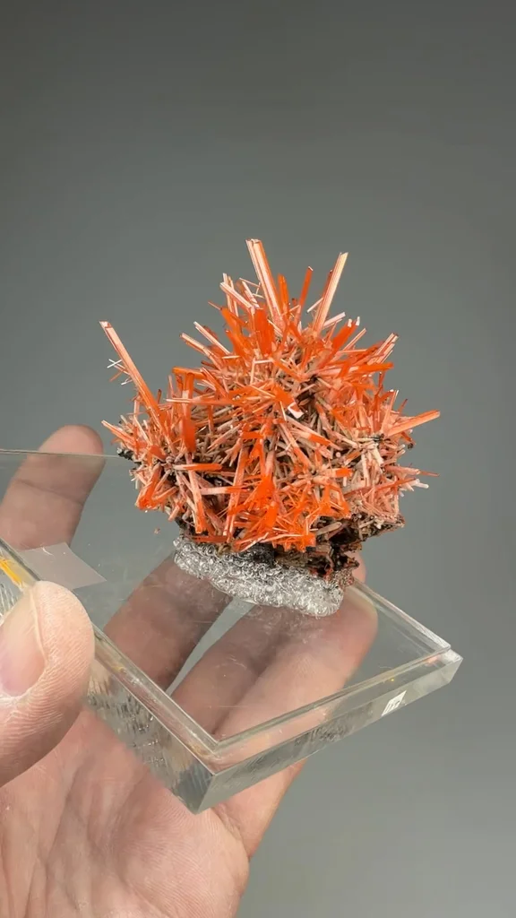 Crocoite from Adelaide Mine, Tasmania, Australia - image 2