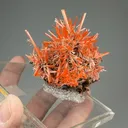 Crocoite from Adelaide Mine, Tasmania, Australia - image 2
