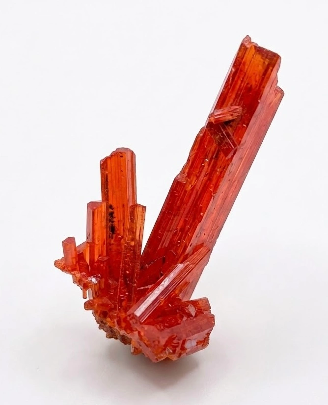 Crocoite from Adelaide Mine, Tasmania, Australia image