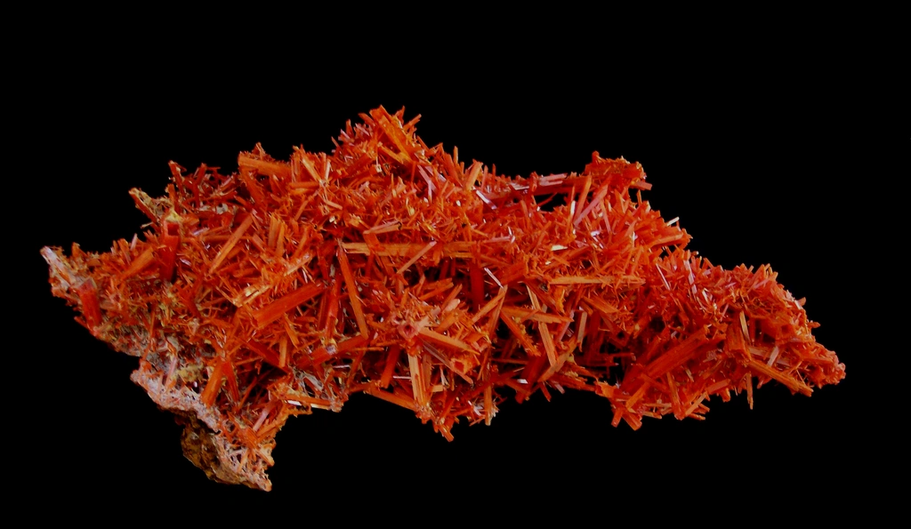 Crocoite from Adelaide Mine, Tasmania, Australia image