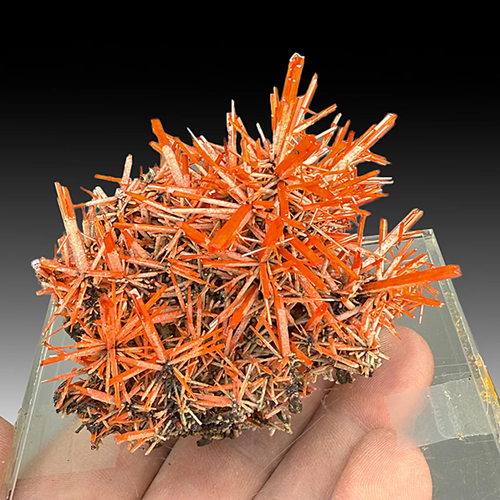 Crocoite from Adelaide Mine, Tasmania, Australia - image 1