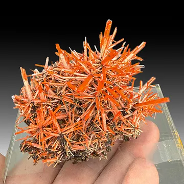 Crocoite from Adelaide Mine, Tasmania, Australia