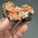 Crocoite from Adelaide Mine, Tasmania, Australia - image 2