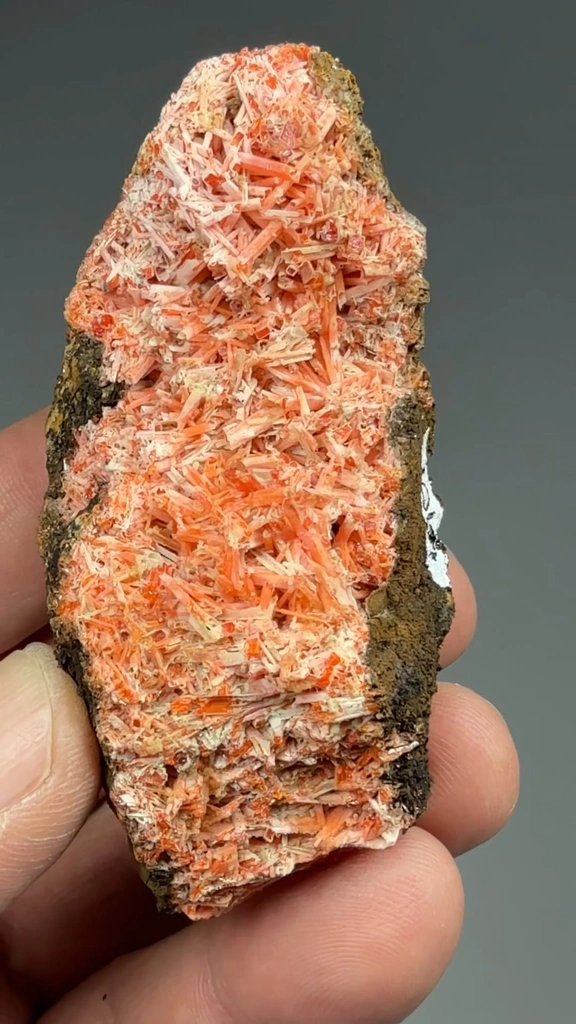 Crocoite from Adelaide Mine, Tasmania, Australia - image 2