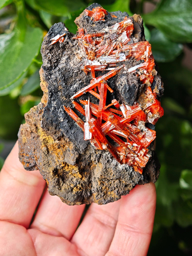 Crocoite from Australia - image 2