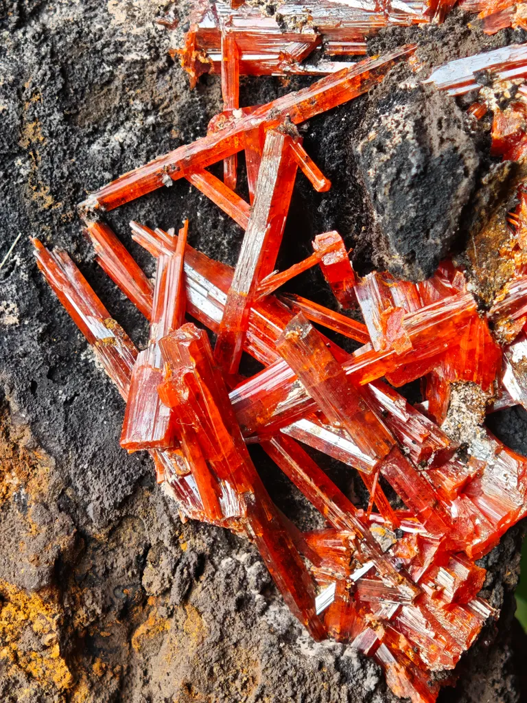 Crocoite from Australia. Fire orange-red color crystals of highly lustrous, partially gemmy Crocoite - image 5