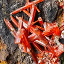 Crocoite from Australia. Fire orange-red color crystals of highly lustrous, partially gemmy Crocoite - image 5