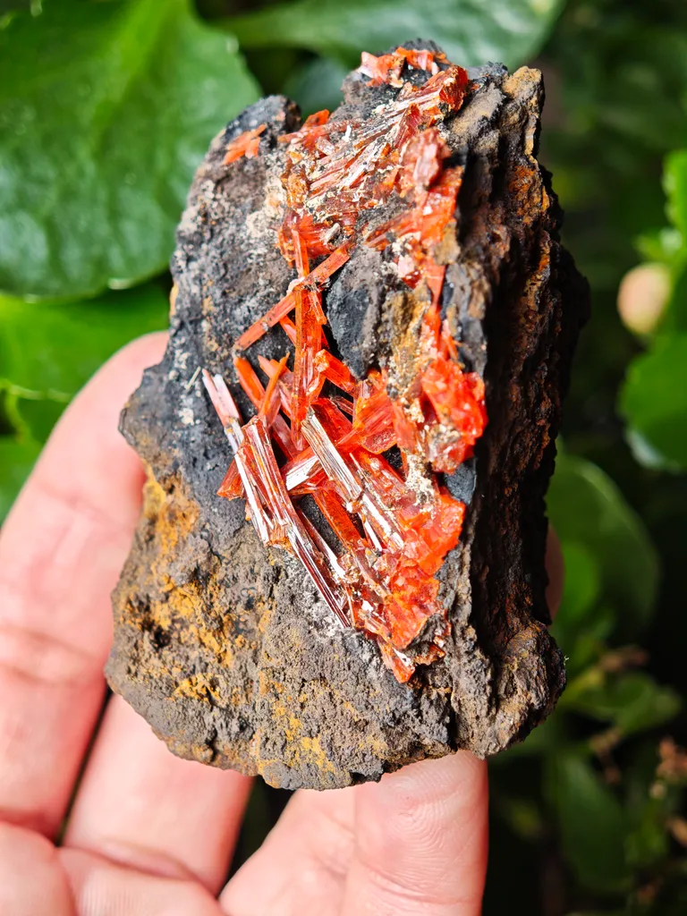 Crocoite from Australia. Fire orange-red color crystals of highly lustrous, partially gemmy Crocoite - image 4