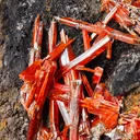 Crocoite from Australia. Fire orange-red color crystals of highly lustrous, partially gemmy Crocoite - image 1