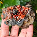 Crocoite from Australia. Fire orange-red color crystals of highly lustrous, partially gemmy Crocoite - image 7