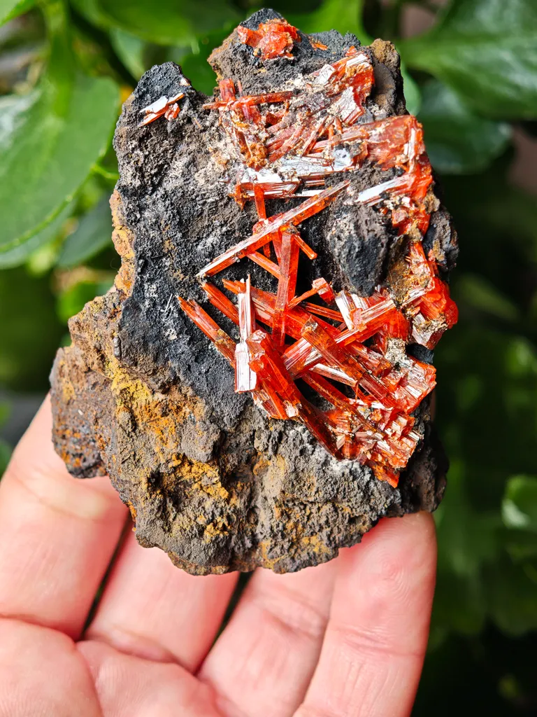 Crocoite