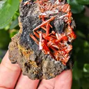 Crocoite from Australia. Fire orange-red color crystals of highly lustrous, partially gemmy Crocoite - image 2