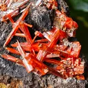 Crocoite from Australia. Fire orange-red color crystals of highly lustrous, partially gemmy Crocoite - image 9