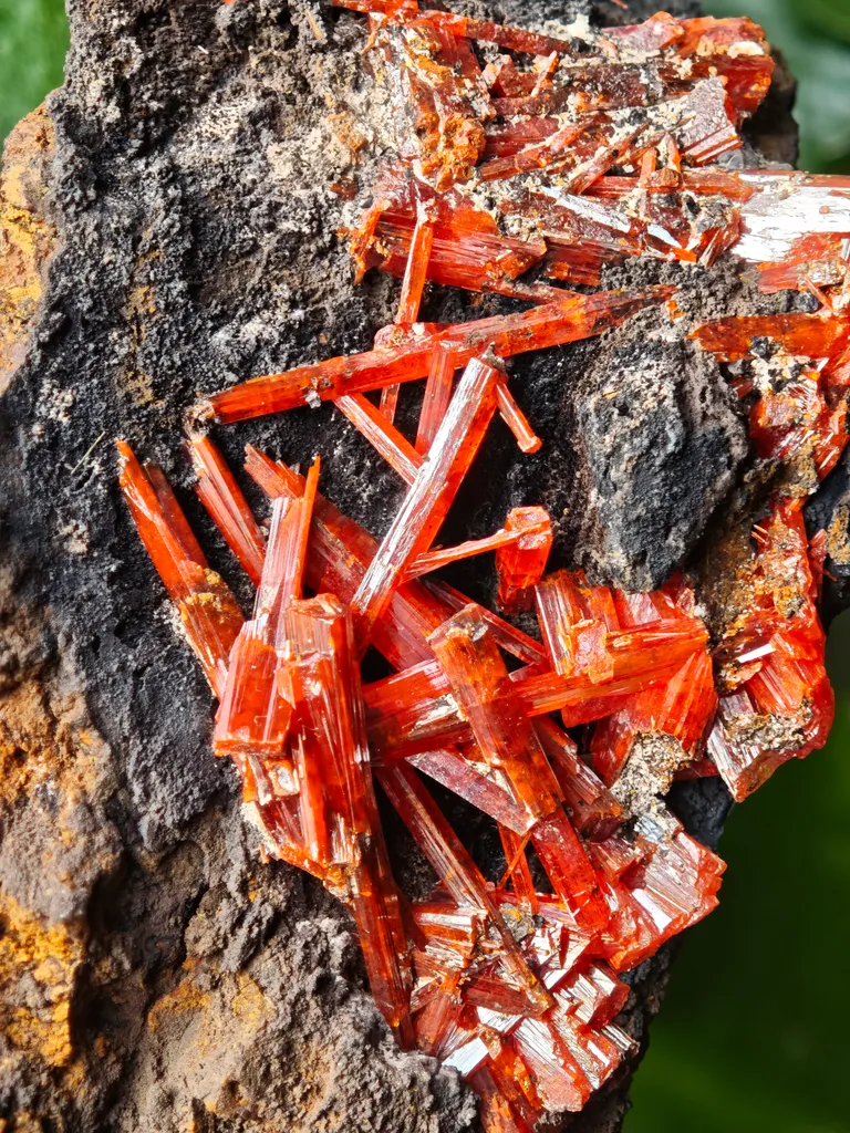 Crocoite from Australia. Fire orange-red color crystals of highly lustrous, partially gemmy Crocoite - image 8