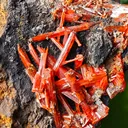 Crocoite from Australia. Fire orange-red color crystals of highly lustrous, partially gemmy Crocoite - image 8