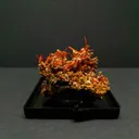 Crocoite from Australia, Tasmania, Adelaide Mine - image 1