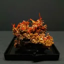 Crocoite from Australia, Tasmania, Adelaide Mine - image 1