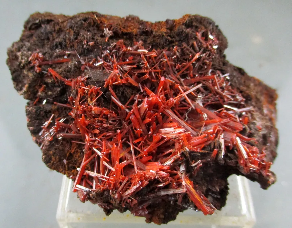 Crocoïte from Australia, Tasmania, Dundas Extended Mine image