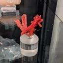 Crocoite from Australia, Tasmania, Dundas Extended Mine - image 1