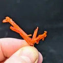 Crocoite from Australia, Tasmania, Dundas Extended Mine - image 5