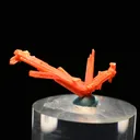 Crocoite from Australia, Tasmania, Dundas Extended Mine - image 3
