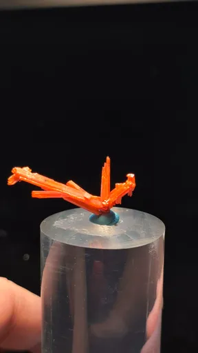specimen video