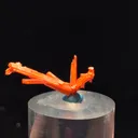 specimen video