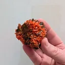 Crocoite from Australia, Tasmania - image 5