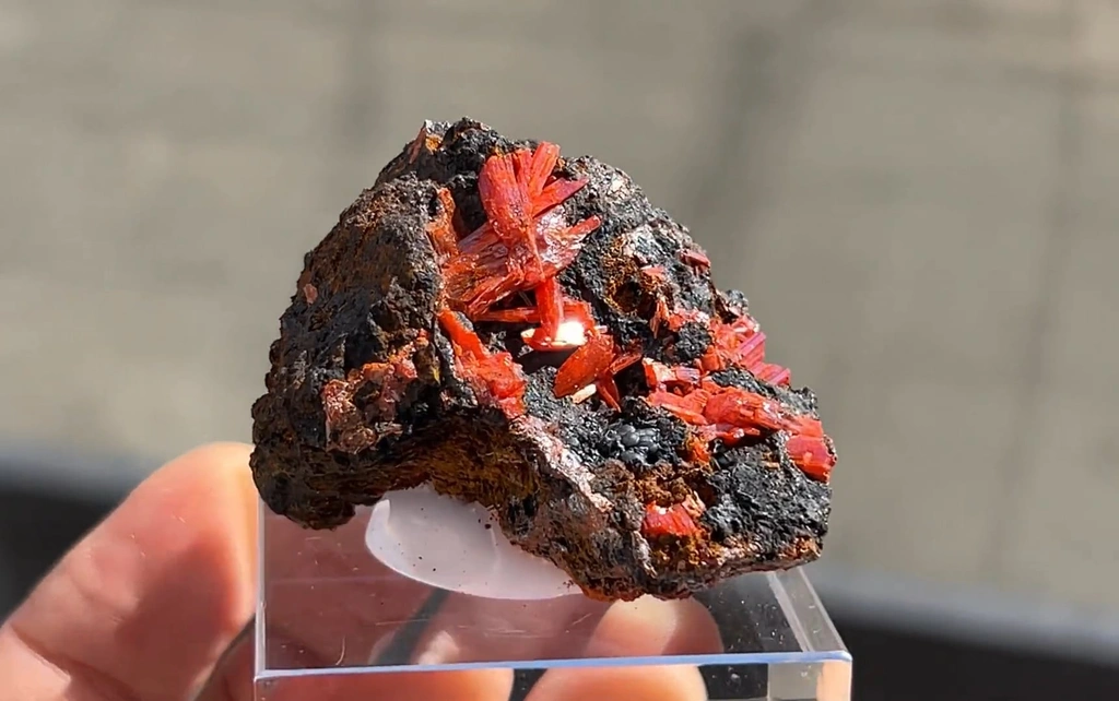 Crocoite