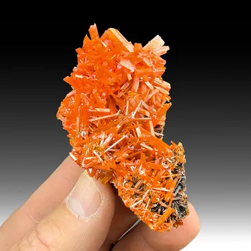 Crocoite from Red Lead Mine, Tasmania, Australia
