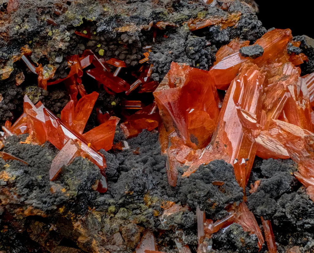 Crocoite on Goethite - image 2