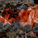 Crocoite on Goethite - image 2
