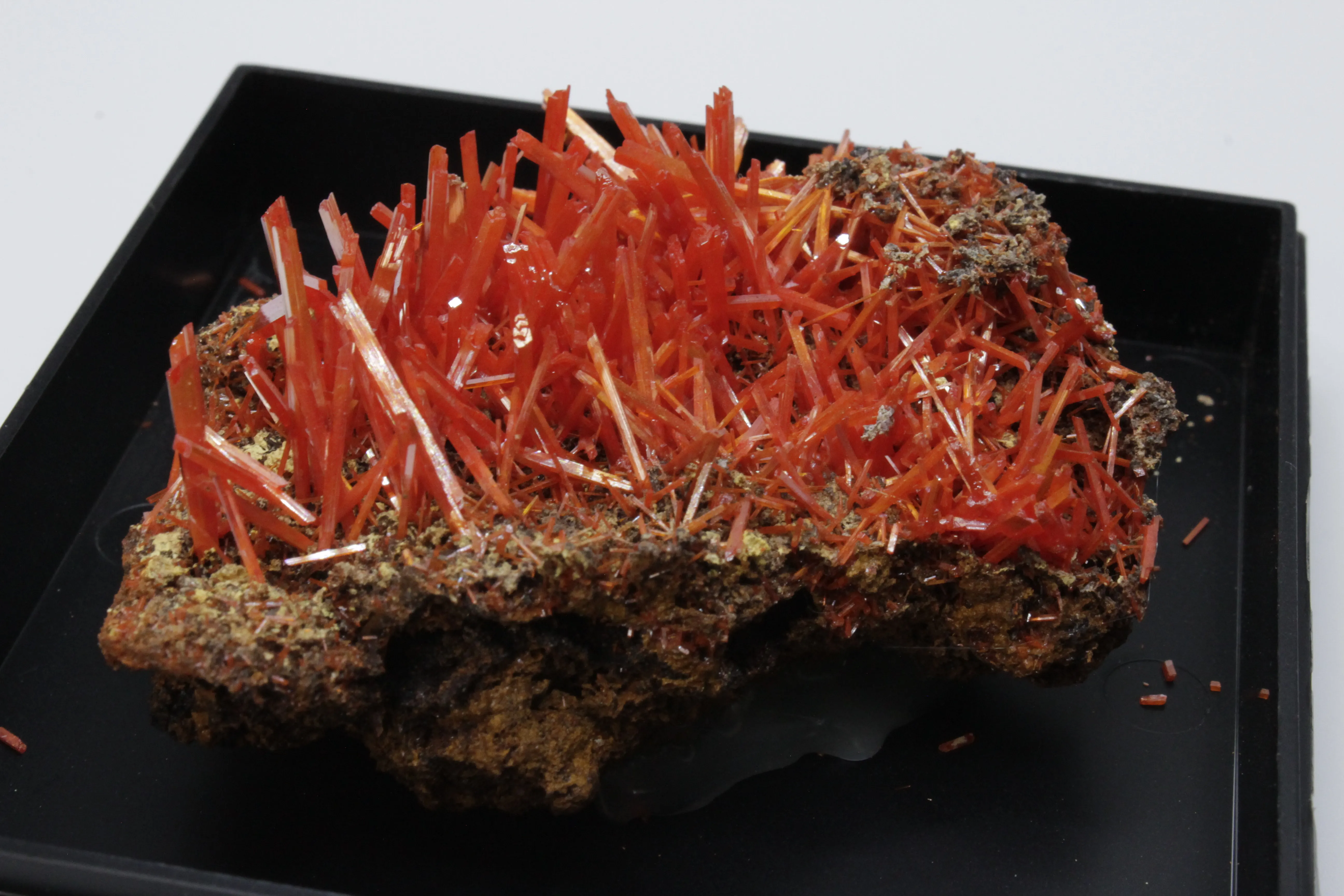 Crocoite on limonite matrix - image 2