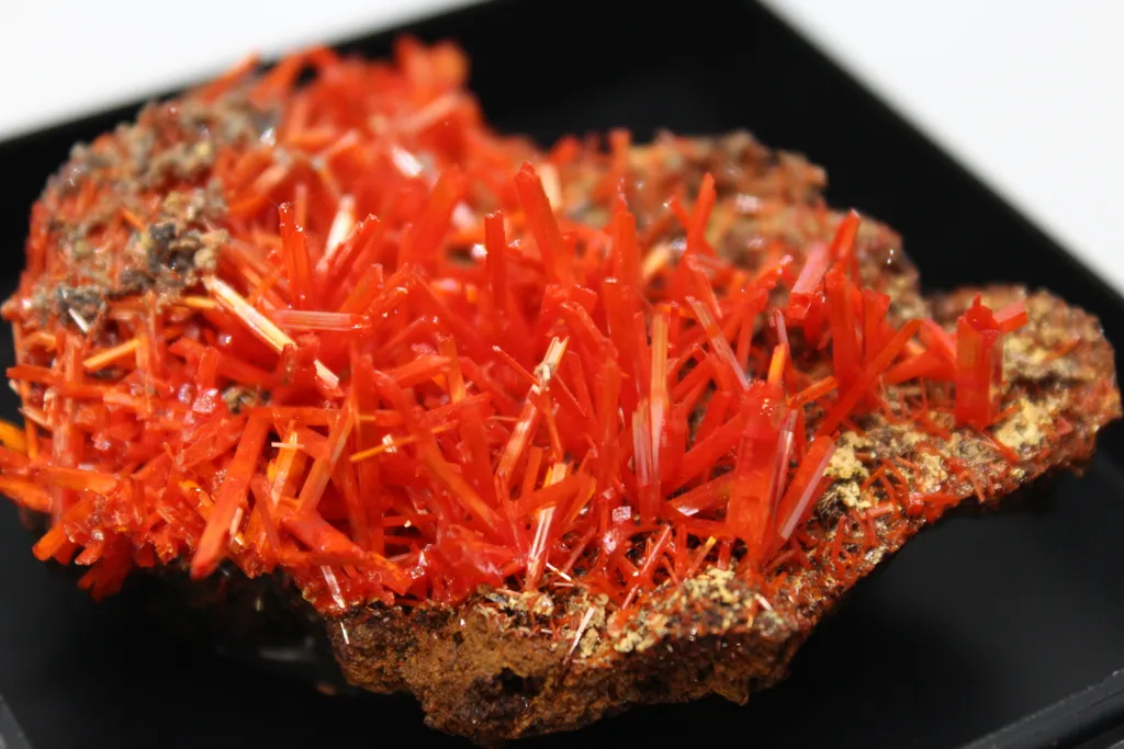 Crocoite on limonite matrix