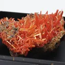 Crocoite on limonite matrix - image 3