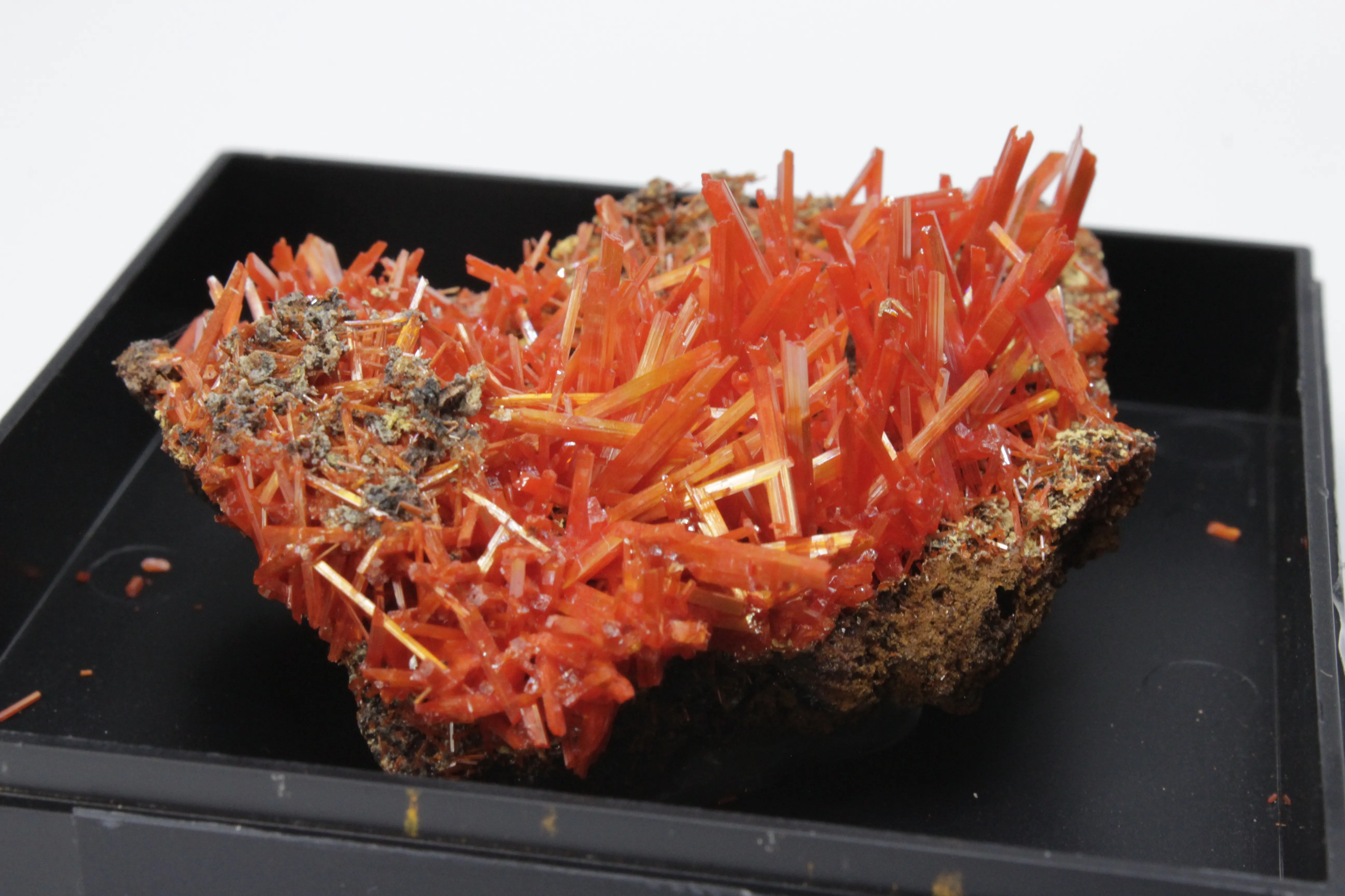 Crocoite on limonite matrix - image 3